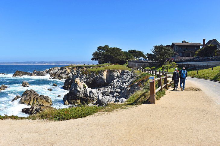 13 Top-Rated Tourist Attractions in Monterey