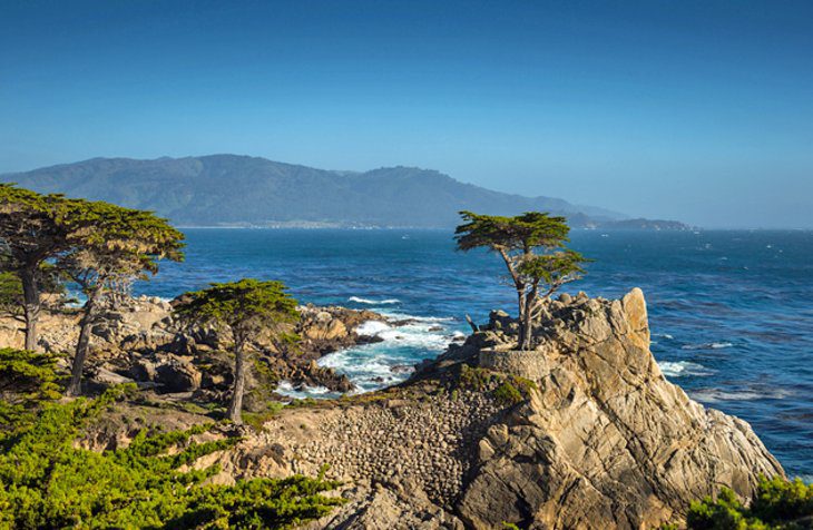 13 Top-Rated Tourist Attractions in Monterey