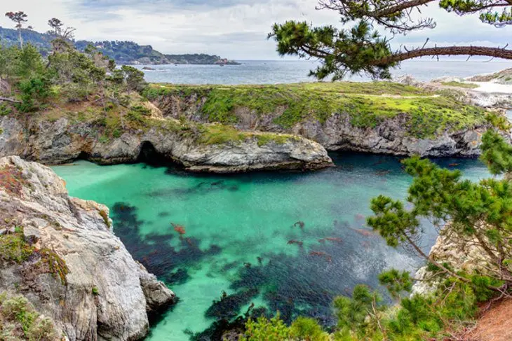 13 Top-Rated Tourist Attractions in Monterey