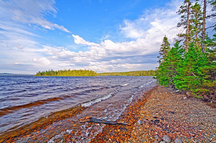 13 Top-Rated Tourist Attractions in Newfoundland and Labrador