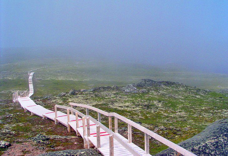 13 Top-Rated Tourist Attractions in Newfoundland and Labrador