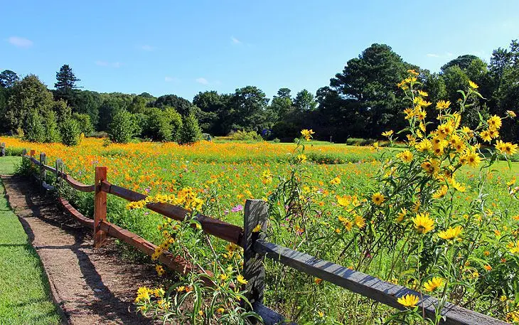 13 Top-Rated Tourist Attractions in Virginia Beach