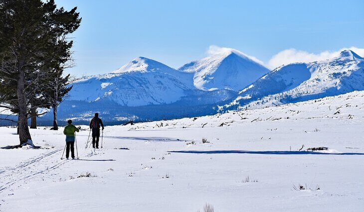 13 Top Things to Do in Montana in Winter