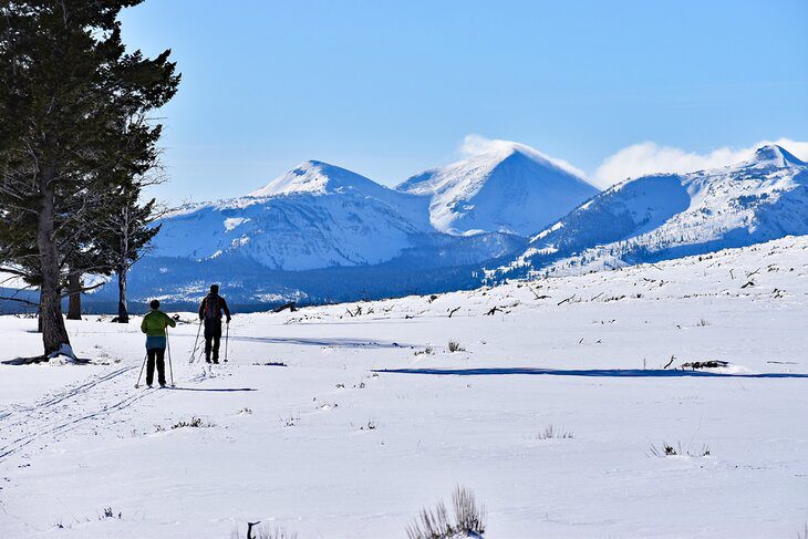 13 Top Things to Do in Montana in Winter