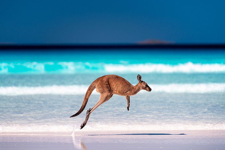 14 Best Beaches in Australia