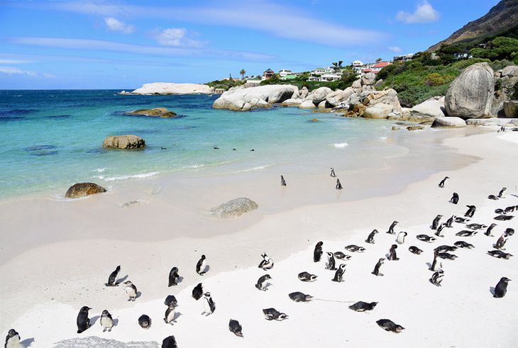 14 Best Beaches in Cape Town