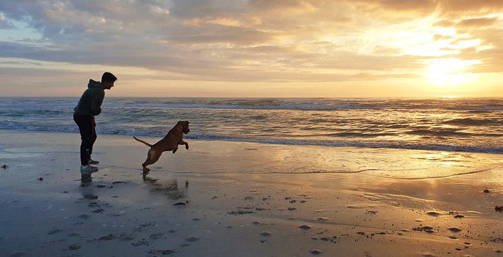 14 Best Beaches in Port Aransas, TX