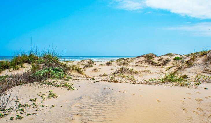 14 Best Beaches in Texas