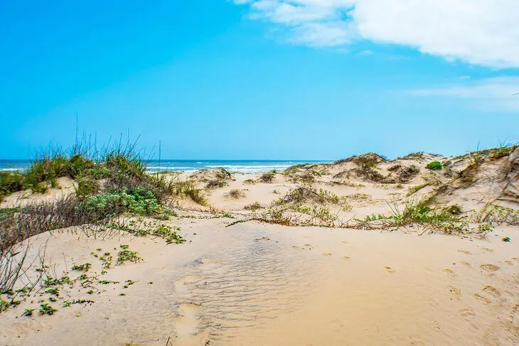 14 Best Beaches in Texas