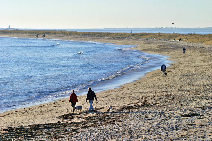 14 Best Beaches near Mystic, CT