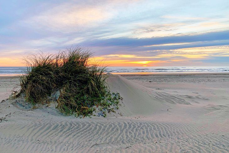 14 Best Beaches on South Padre Island, TX