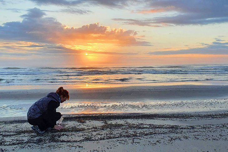 14 Best Beaches on South Padre Island, TX