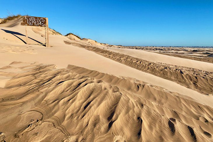 14 Best Beaches on South Padre Island, TX