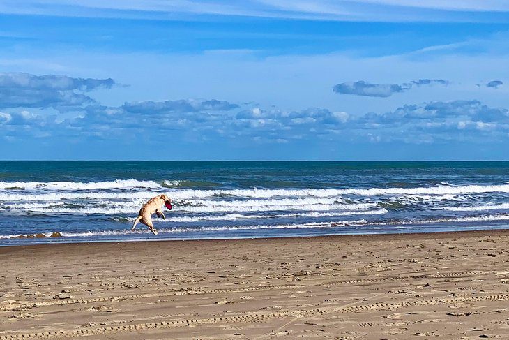 14 Best Beaches on South Padre Island, TX