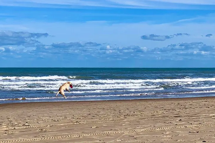 14 Best Beaches on South Padre Island, TX