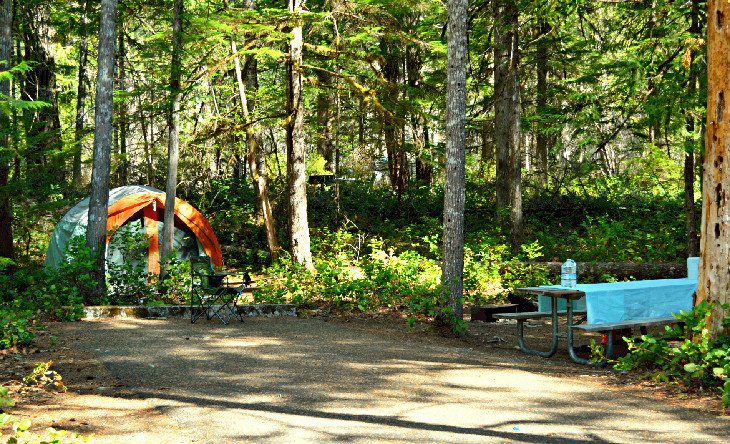 14 Best Campgrounds at North Cascades National Park