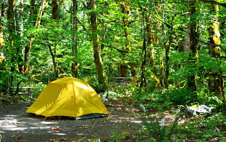 14 Best Campgrounds at North Cascades National Park