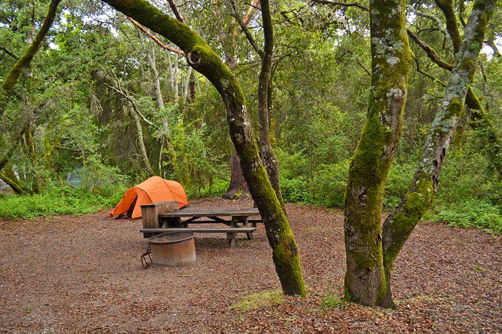 14 Best Campgrounds in Northern California