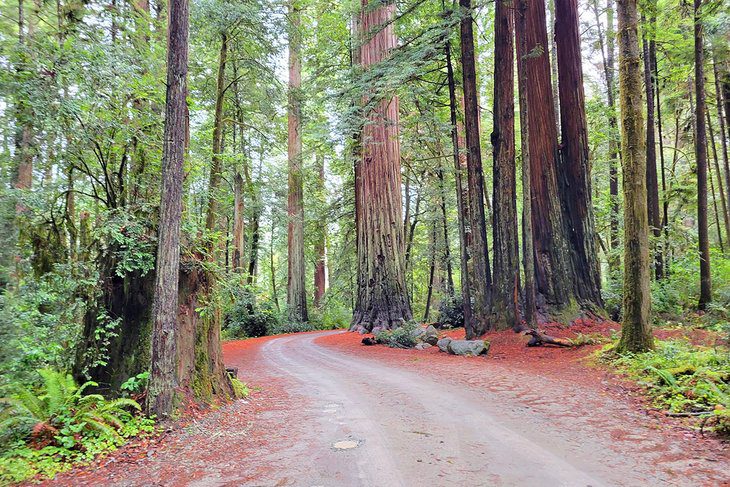 14 Best Campgrounds in Northern California