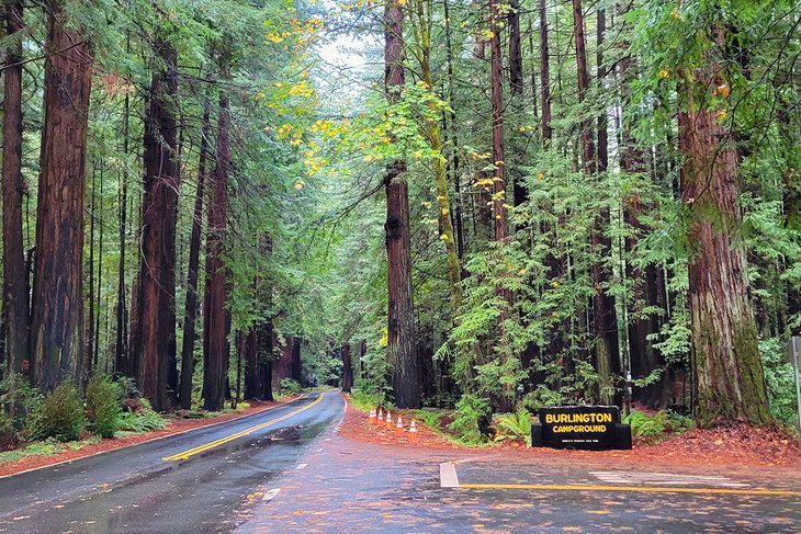 14 Best Campgrounds in Northern California