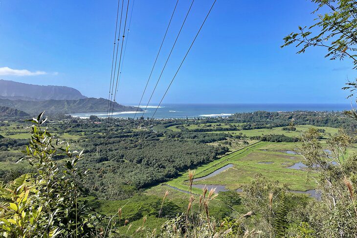 14 Best Hikes in Kauai