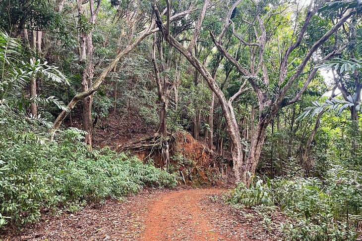 14 Best Hikes in Kauai