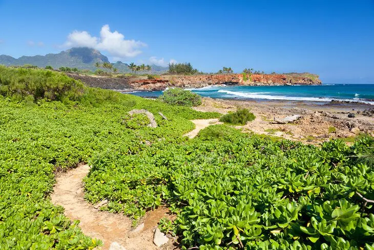 14 Best Hikes in Kauai