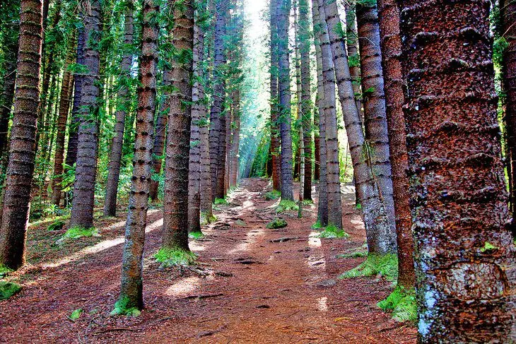 14 Best Hikes in Kauai