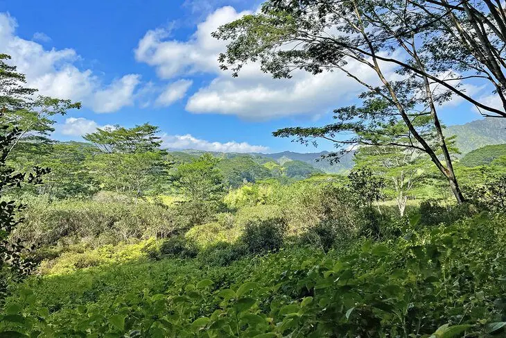 14 Best Hikes in Kauai