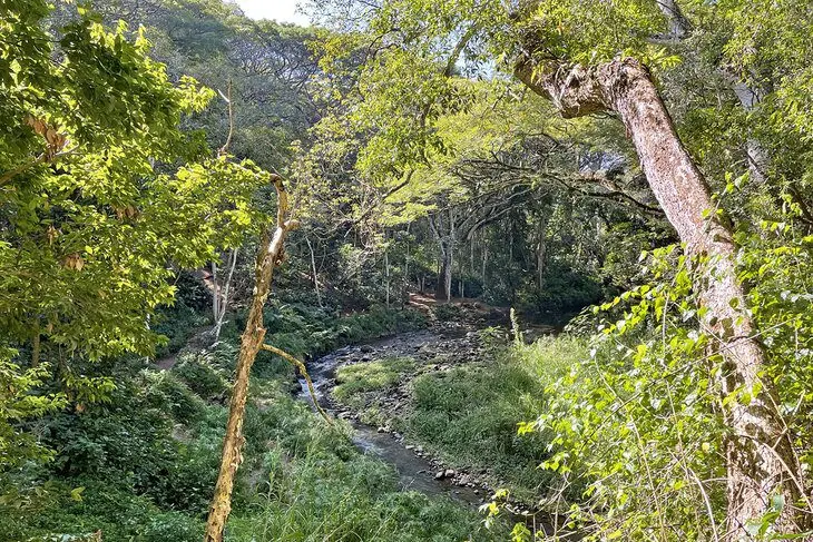 14 Best Hikes in Kauai