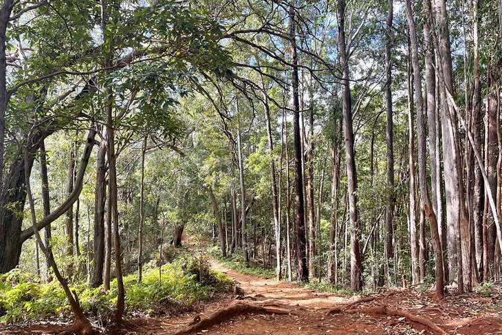 14 Best Hikes in Oahu