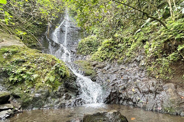 14 Best Hikes in Oahu