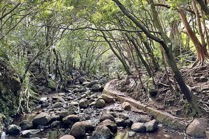 14 Best Hikes in Oahu