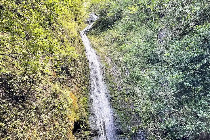 14 Best Hikes in Oahu