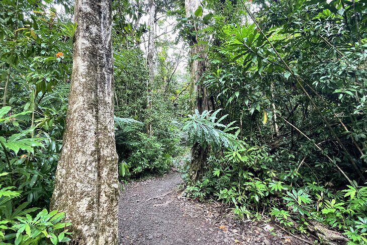 14 Best Hikes in Oahu