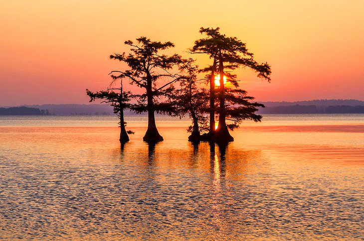 14 Best Lakes in Tennessee