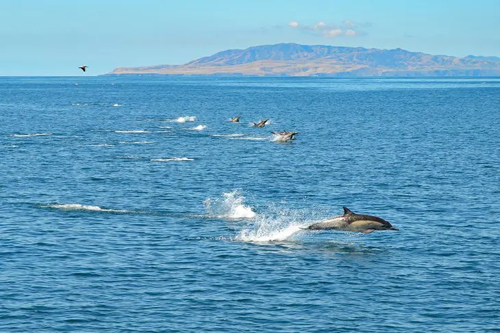 14 Best National Parks in California