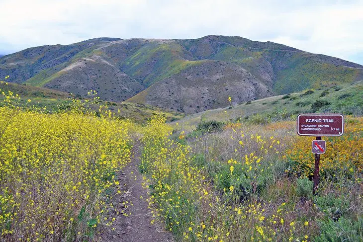 14 Best National Parks in California