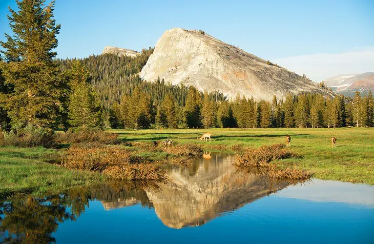 14 Best National Parks in California