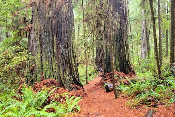 14 Best National Parks in California