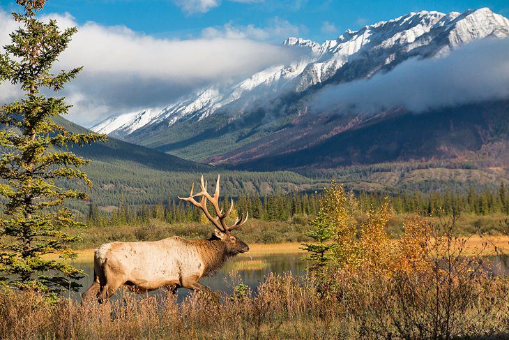 14 Best National Parks in Canada