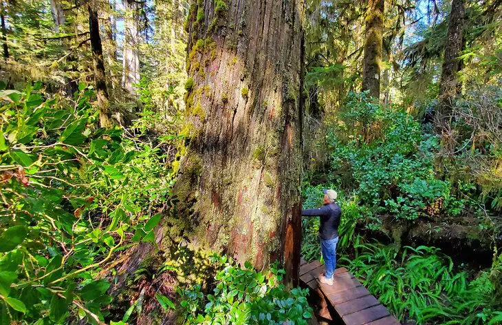 14 Best National Parks in Canada