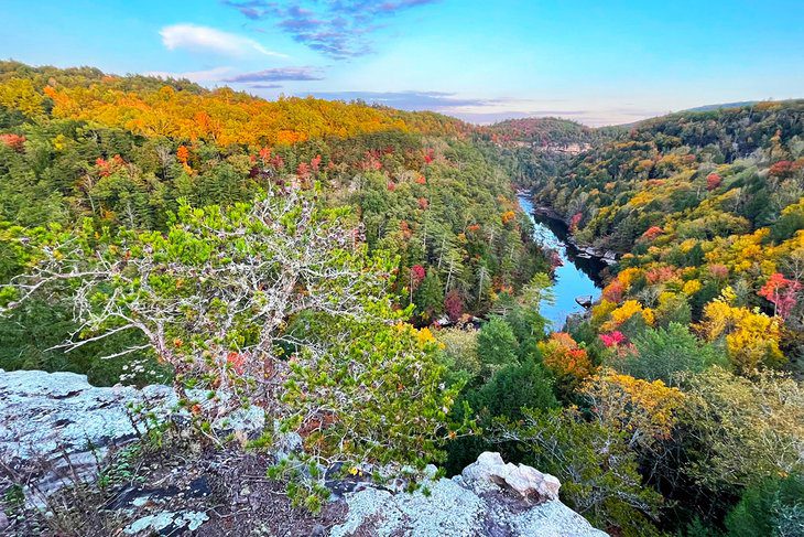 14 Best National Parks in Tennessee