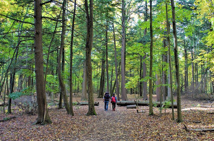 14 Best Places for Camping near Toronto