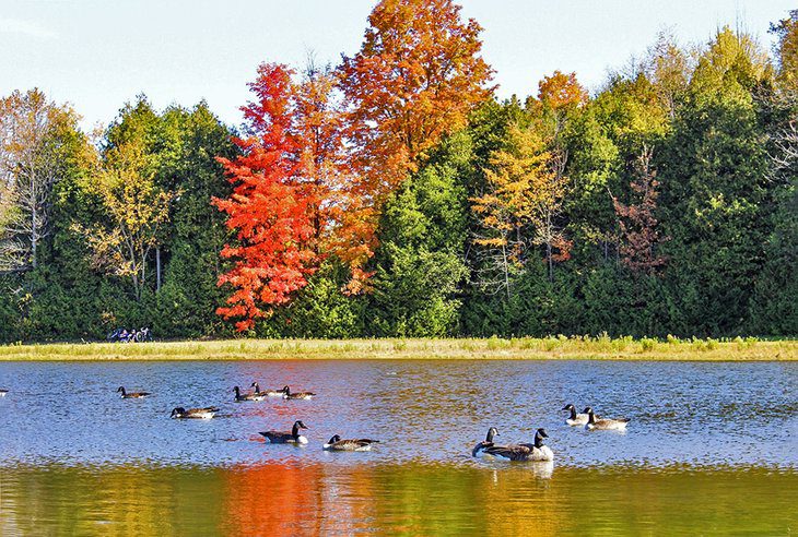 14 Best Places for Camping near Toronto