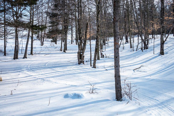 14 Best Places for Cross-Country Skiing in Vermont, 2023/24