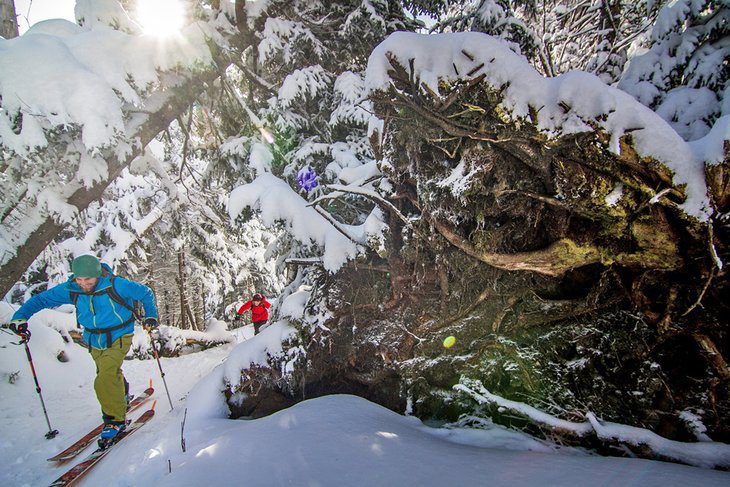 14 Best Places for Cross-Country Skiing in Vermont, 2023/24