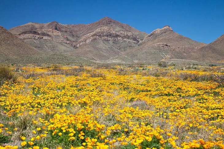 14 Best Places to Camp in Texas