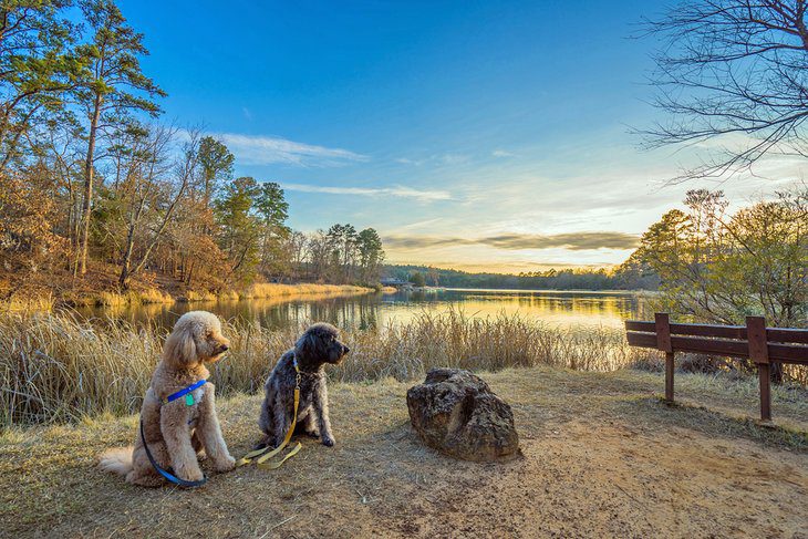 14 Best Places to Camp in Texas