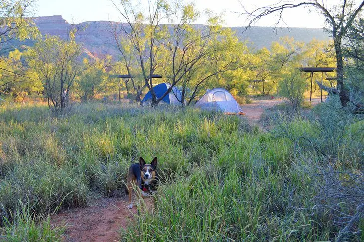 14 Best Places to Camp in Texas